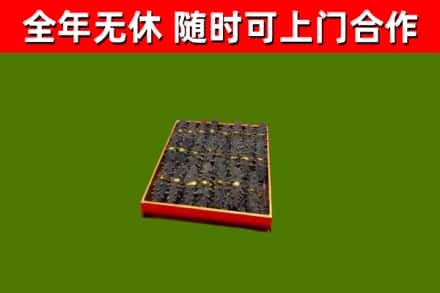 临清回收海参